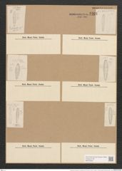 Gomphonema montanum var. subclaratum Grun. (de-Toni-Nr.: Genus 37, Species 1734) Zeichnungen Sammlung Grunow Nr. 3404 (NHMW-BOT-W0370929)